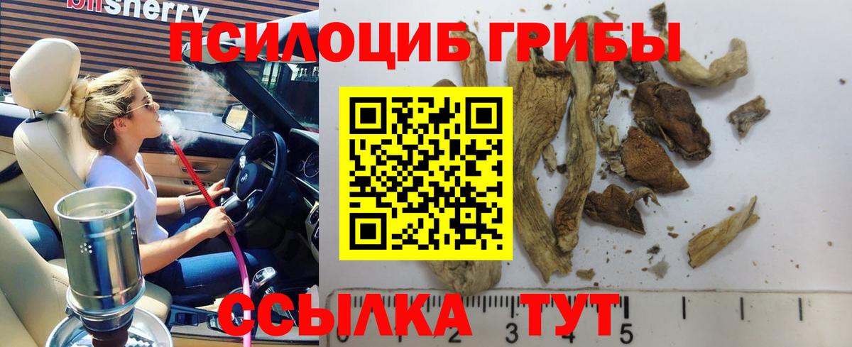 Асино  Галлюциногенные грибы Magic Shrooms  сколько стоит  Вход с VPN 
