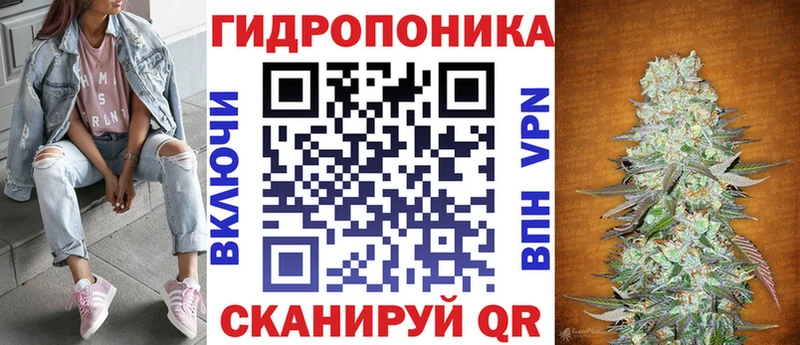Марихуана сатива Асино